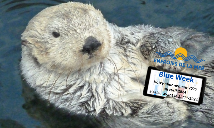 BLUE WEEK : 2025, abonnez-vous ou réabonnez-vous au tarif 2024 !