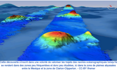 Campagne NODULE-2024 : 6 nouveaux monts sous-marins découverts dans le Pacifique