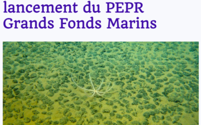 Grands fonds marins : Vous avez un mois pour répondre !
