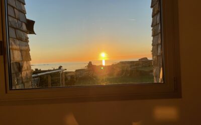 30.000 : c’est le chiffre du nombre de jeux de données environnementales, qui seront disponible sur ecologie.data.gouv.fr