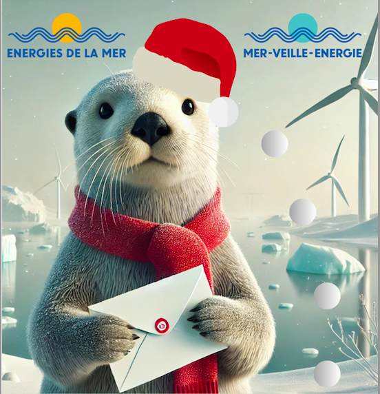 Bonnes Fêtes de Noël / Merry Christmas