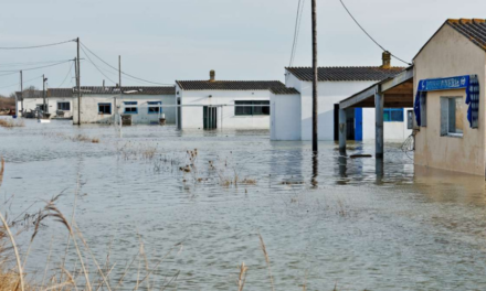 Onze associations ont lancé un appel au droit d&rsquo;expérimenter pour le littoral