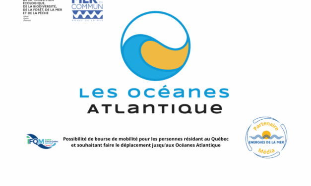 Océanes Atlantique 2025 : Les Yeux sur l’océan
