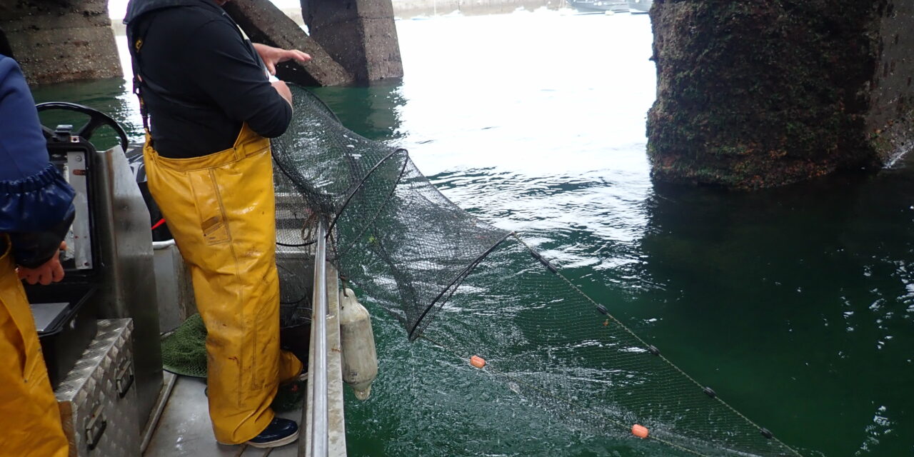 Créocéan a acquis la société Nereis environnement et créé un nouveau pôle océanographique à La Rochelle