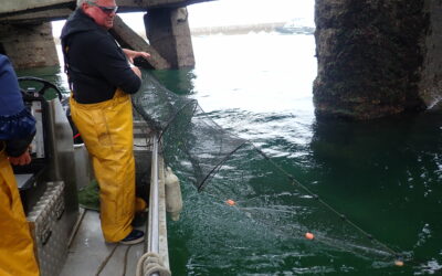 Créocéan a acquis la société Nereis environnement et créé un nouveau pôle océanographique à La Rochelle