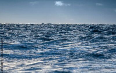 La Commission Européenne ouvre une consultation publique sur le règlement de la politique commune de la pêche
