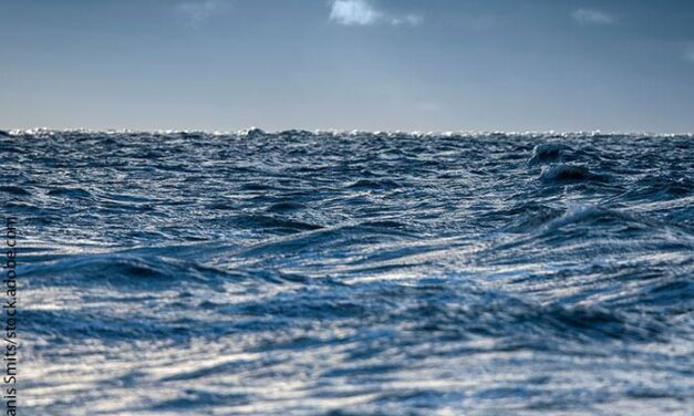 La Commission Européenne ouvre une consultation publique sur le règlement de la politique commune de la pêche