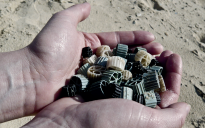 Plastique : l’ANEL et Vigipol portent plainte contre X pour l’échouage de biomédias sur les côtes bretonnes.