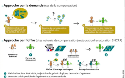 Biodiversité : Patrick Deronzier a retrouvé le ministère de la transition écologique