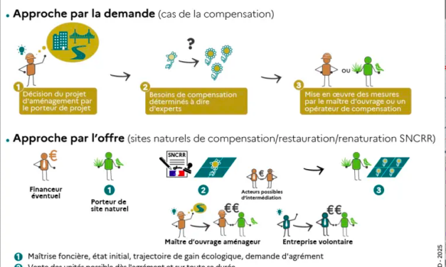 Biodiversité : Patrick Deronzier a retrouvé le ministère de la transition écologique