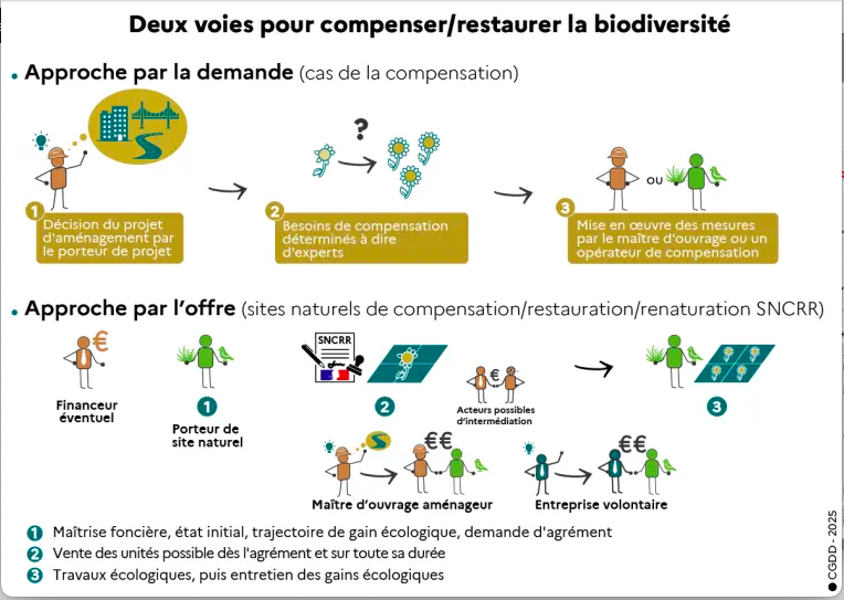 Biodiversité : Patrick Deronzier a retrouvé le ministère de la transition écologique