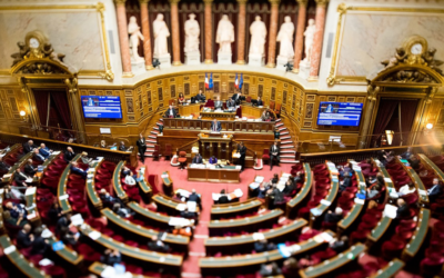 La PPE doit être votée par les parlementaires : Lettre ouverte à François Bayrou