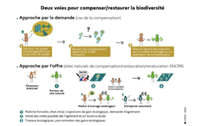 Biodiversité : Patrick Deronzier a retrouvé le ministère de la transition écologique