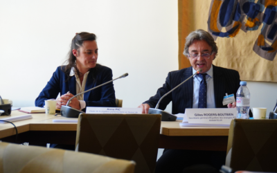 Exclusif : Anna Pic, pilote de la coalition parlementaire transpartisane pour l’énergie hydrolienne