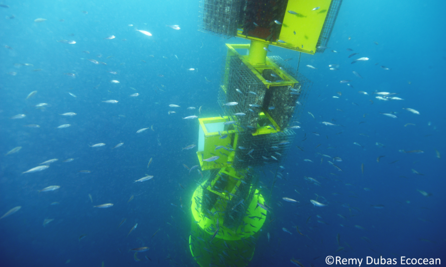 1ère mondiale : EFGL termine l’installation de Biohut®, conçu pour favoriser la biodiversité marine
