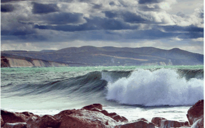 Etude sur les écosystèmes marins, industrie de la pêche et les parcs éoliens fixes et flottants