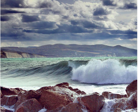 Etude sur les écosystèmes marins, industrie de la pêche et les parcs éoliens fixes et flottants