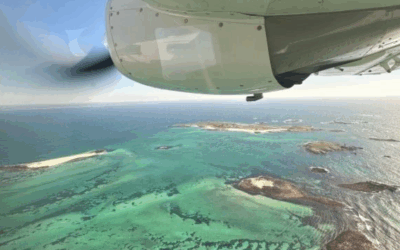 FOWT : J + 1, les acquisitions de données, la décarbonation, les aménagements portuaires  …