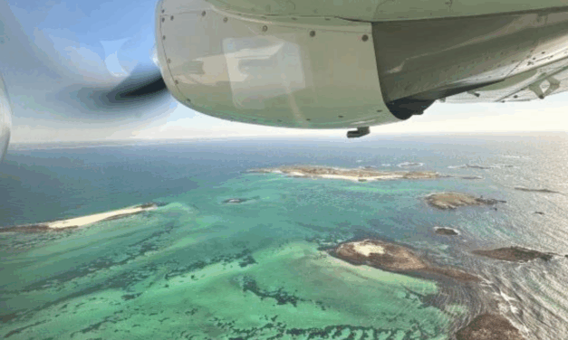 FOWT : J + 1, les acquisitions de données, la décarbonation, les aménagements portuaires  …