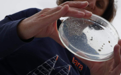 Les microplastiques ont envahi les fleuves européens