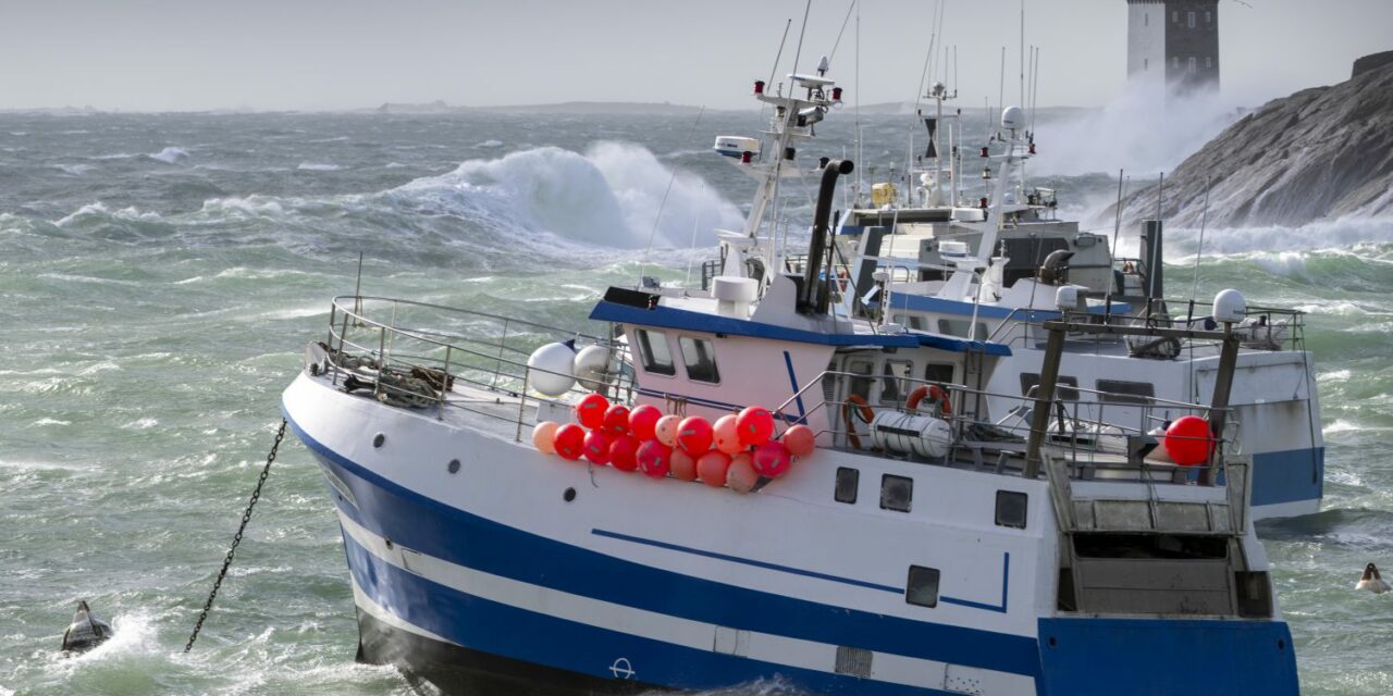 La filière pêche soutenue par l’ANEL et le Cluster Maritime