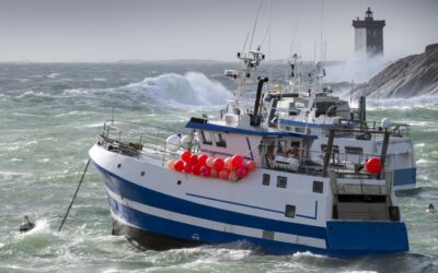 La filière pêche soutenue par l’ANEL et le Cluster Maritime