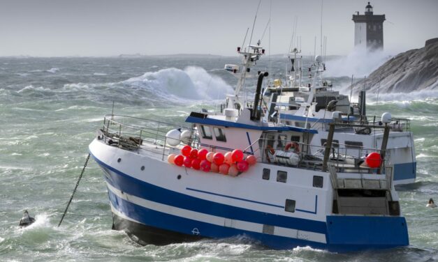 La filière pêche soutenue par l’ANEL et le Cluster Maritime