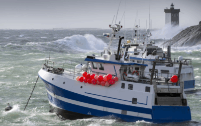 La filière pêche soutenue par l’ANEL et le Cluster Maritime