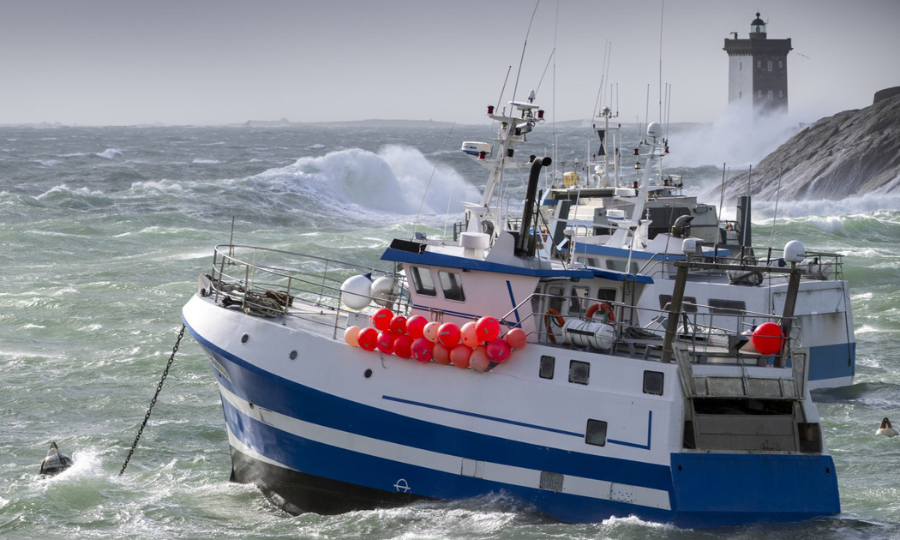 La filière pêche soutenue par l’ANEL et le Cluster Maritime