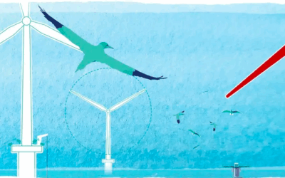 Vestas et Ecowende testent des lames rouges à Hollandse Kust West
