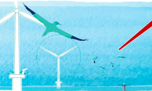 Vestas et Ecowende testent des lames rouges à Hollandse Kust West