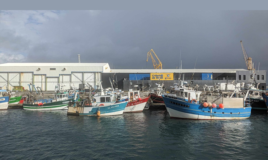 Brest Port parmi les ports préférés des opérateurs pour l’éolien flottant