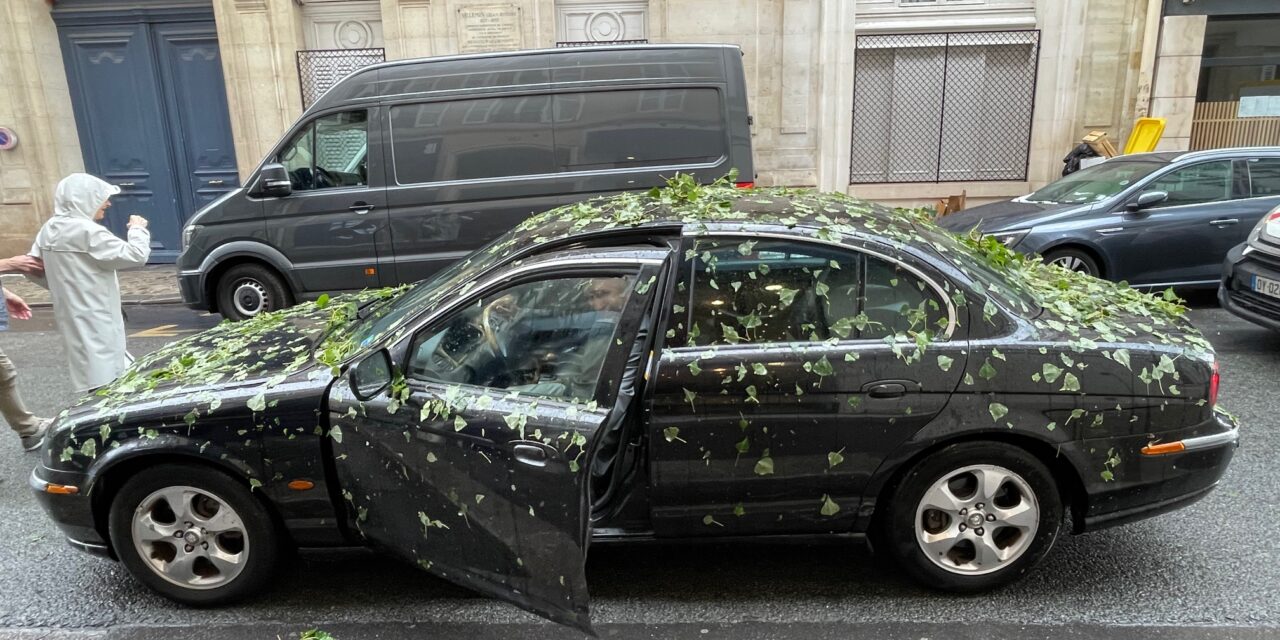 Après l’orage de grêle qui s’est abattu sur Paris