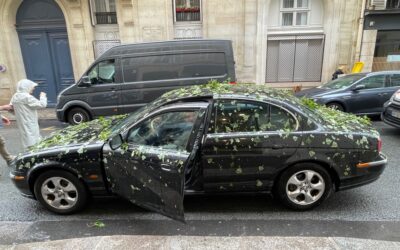 Insolite : après l’orage de grêle qui s’est abattu sur Paris