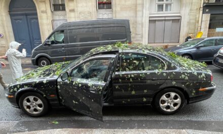 Après l’orage de grêle qui s’est abattu sur Paris