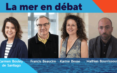 Mise à jour stratégique : les nouvelles synthèses des DSF et la cartographie de l’éolien en mer publiées