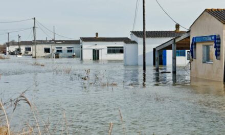 CIMER 2025 : l’ANEL, présidée par Yannick Moreau, estime que le Premier ministre a trahi les communes littorales