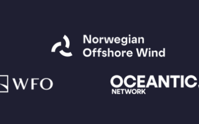 Étude sur l&rsquo;éolien offshore flottant 2025 : morose, mais pas sans espoir de relance !