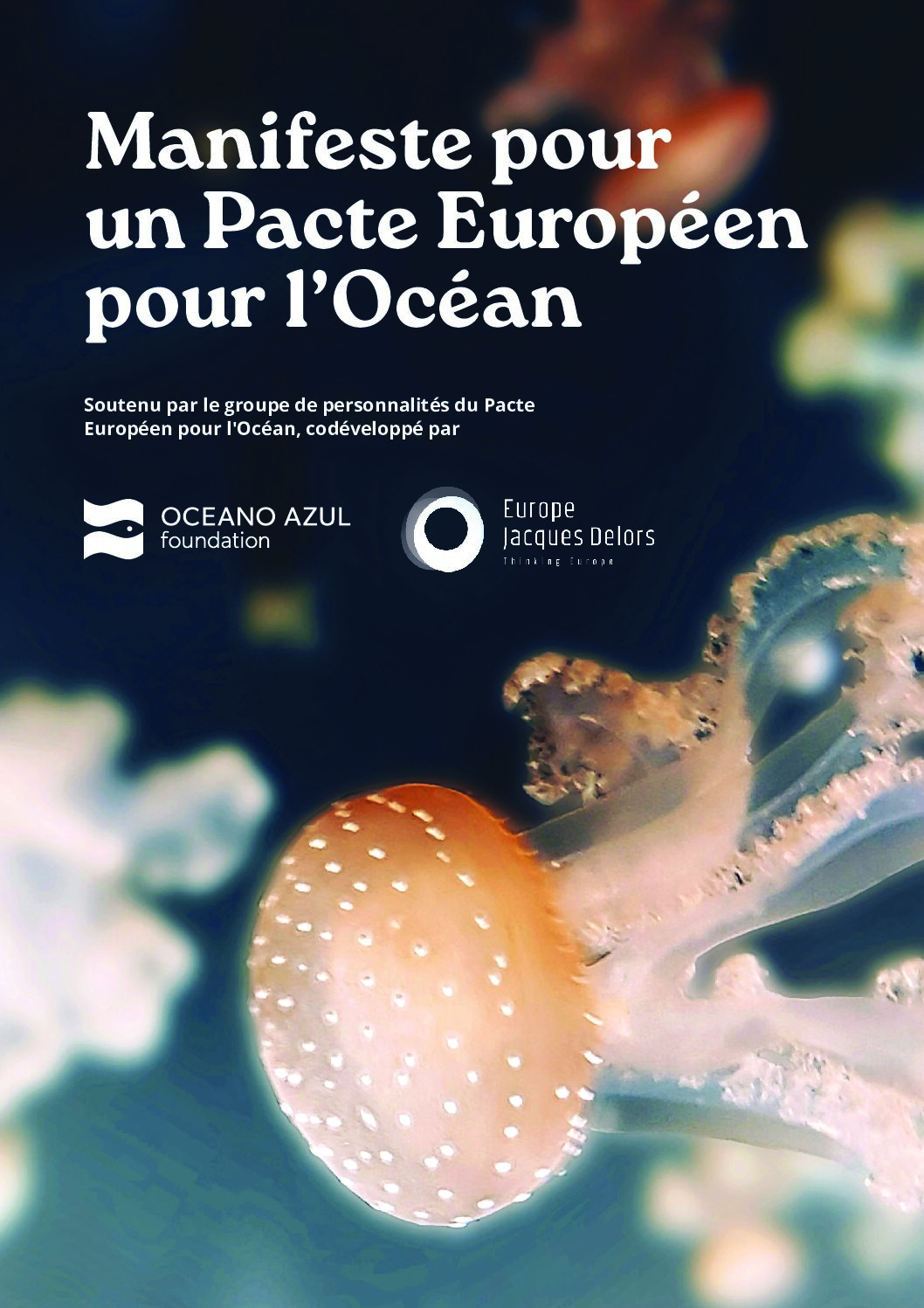 Du Manifeste au Pacte européen pour l&rsquo;Océan