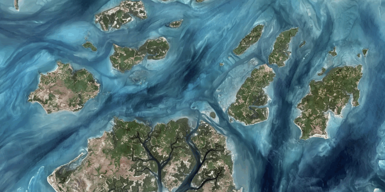 Space4Ocean Alliance : une alliance spatiale mondiale au chevet des océans