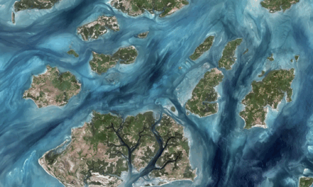 Space4Ocean Alliance : une alliance spatiale mondiale au chevet des océans