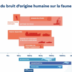 Ospar : la Coalition de Haute Ambition pour un Océan plus Silencieux va-t-elle être entérinée ?