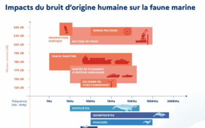 Ospar : la Coalition de Haute Ambition pour un Océan plus Silencieux va-t-elle être entérinée ?