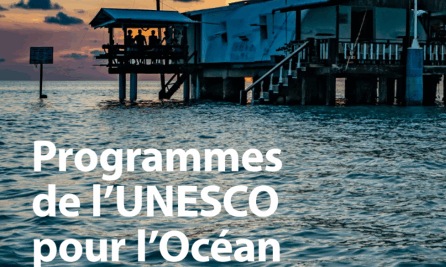 L’UNESCO appelle à une mobilisation scientifique sans précédent pour l’océan