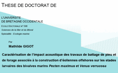 Thèse : Caractérisation de l’impact acoustique des travaux de battage de pieu et de forage associés à la construction d’éoliennes offshores sur les stades larvaires des bivalves marins Pecten maximus et Venus verrucosa