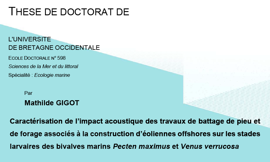 Thèse : Caractérisation de l’impact acoustique des travaux de battage de pieu et de forage associés à la construction d’éoliennes offshores sur les stades larvaires des bivalves marins Pecten maximus et Venus verrucosa