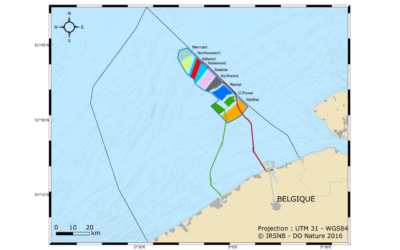 La Belgique a reporté l&rsquo;AO pour le parc éolien offshore dans la zone Princesse Élisabeth à 2026