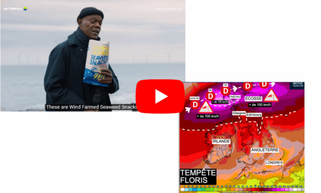 Voir ou revoir les vidéos de cette semaine de début août !