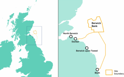 Berwick Bank : c’est le futur plus grand parc éolien en mer du monde