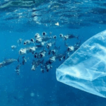 Des chercheurs de Georgia Tech ont créé un matériau inspiré des coquillages pour aider à améliorer le processus de recyclage des plastiques